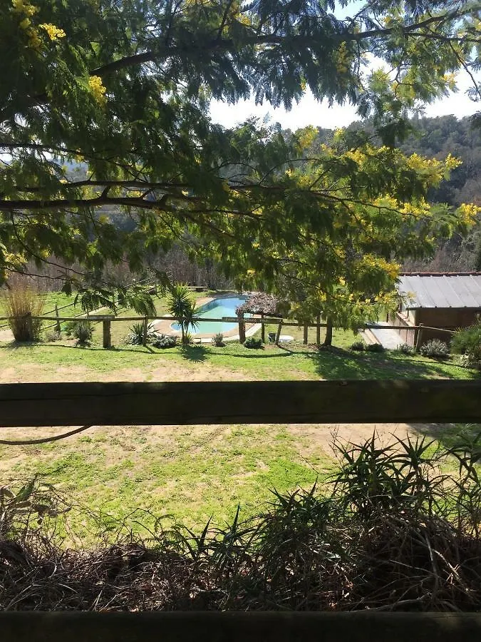Apartamento Can Masferrer Riudarenes